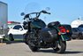 2019 Harley Davidson Softail