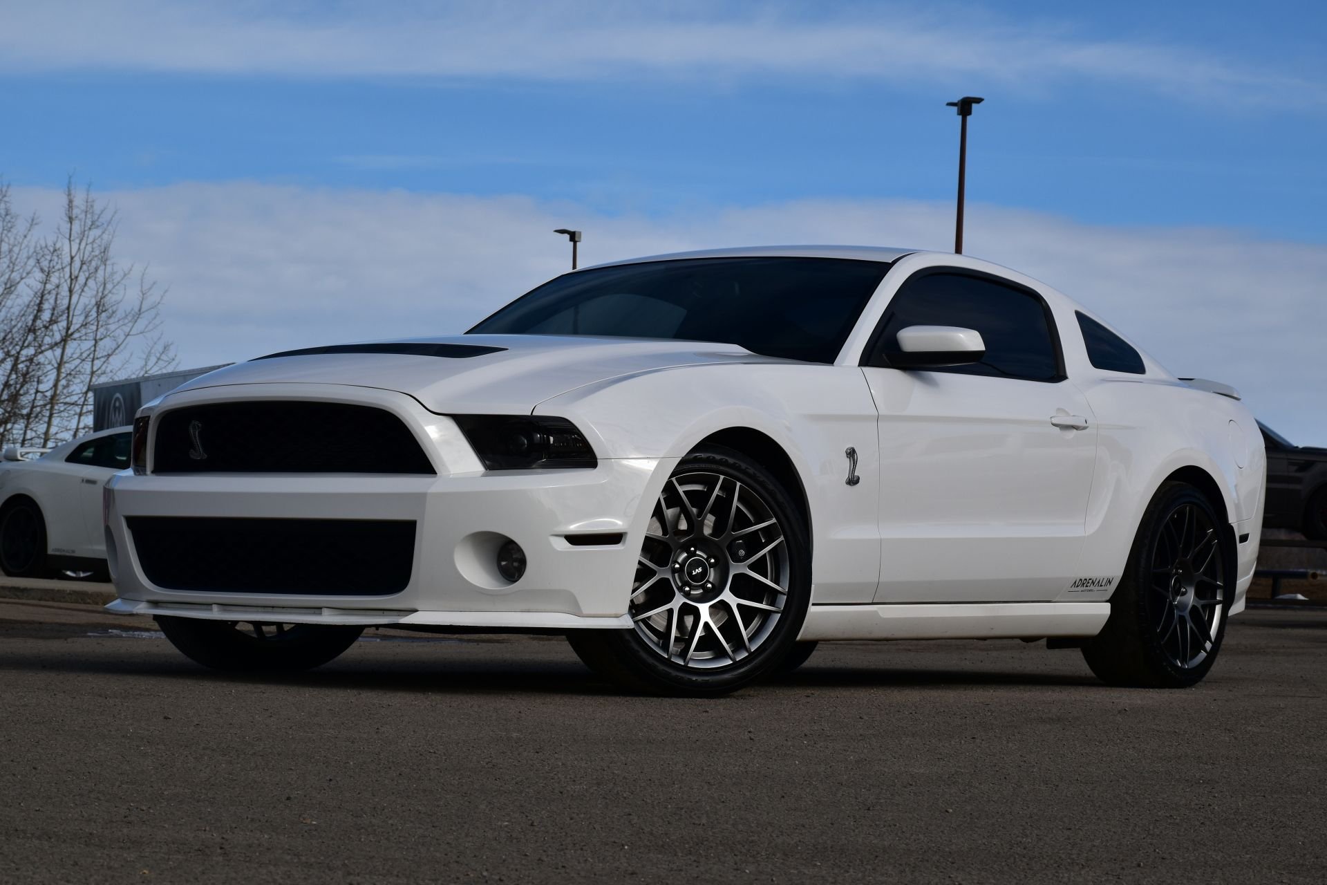 2012 ford mustang shelby gt500