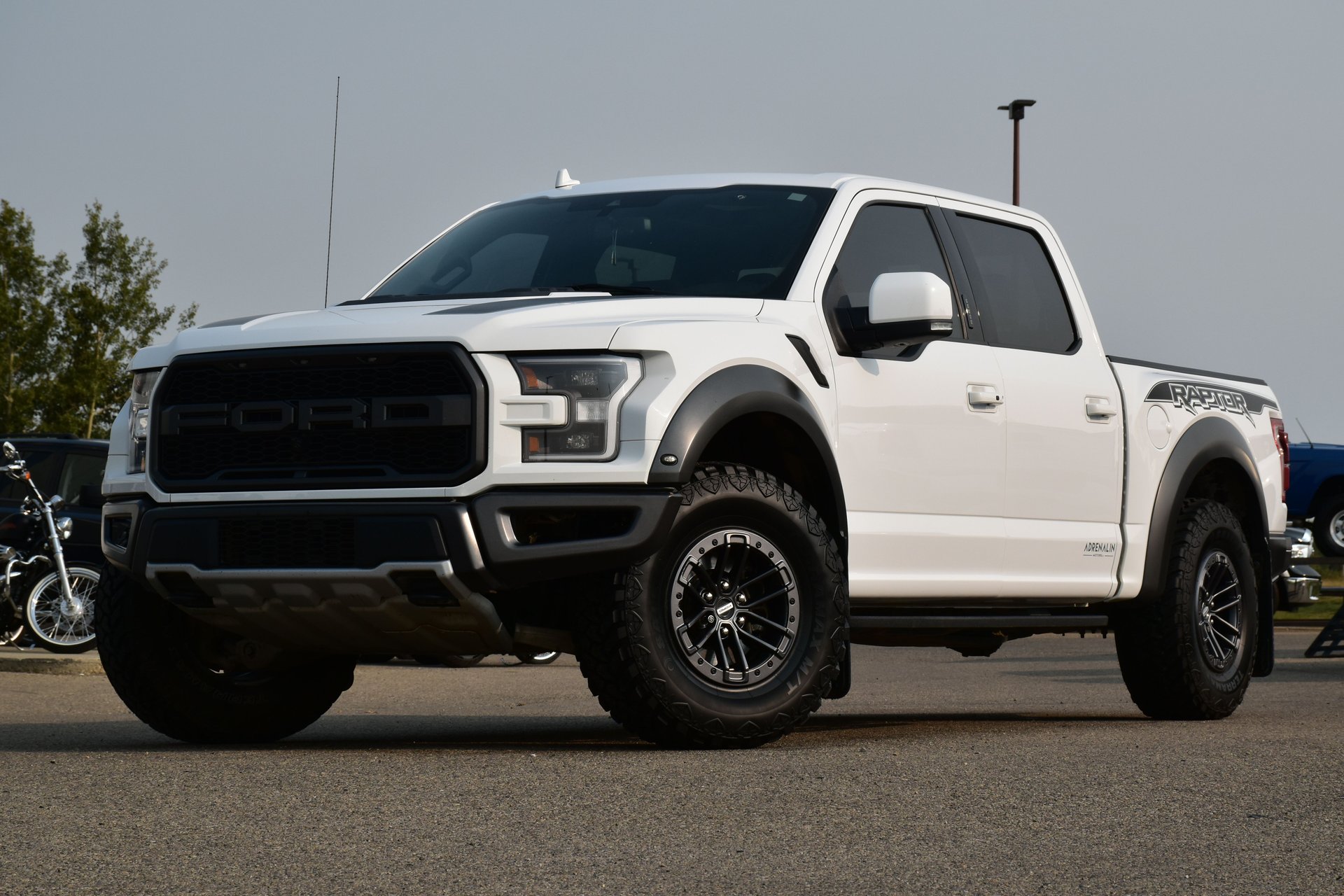 2020 ford f 150 raptor 802a package
