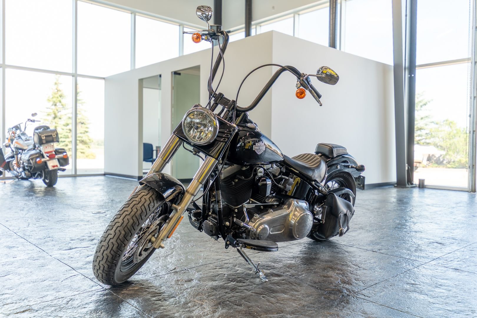 2015 harley davidson softail slim