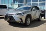 2019 Lexus NX 300