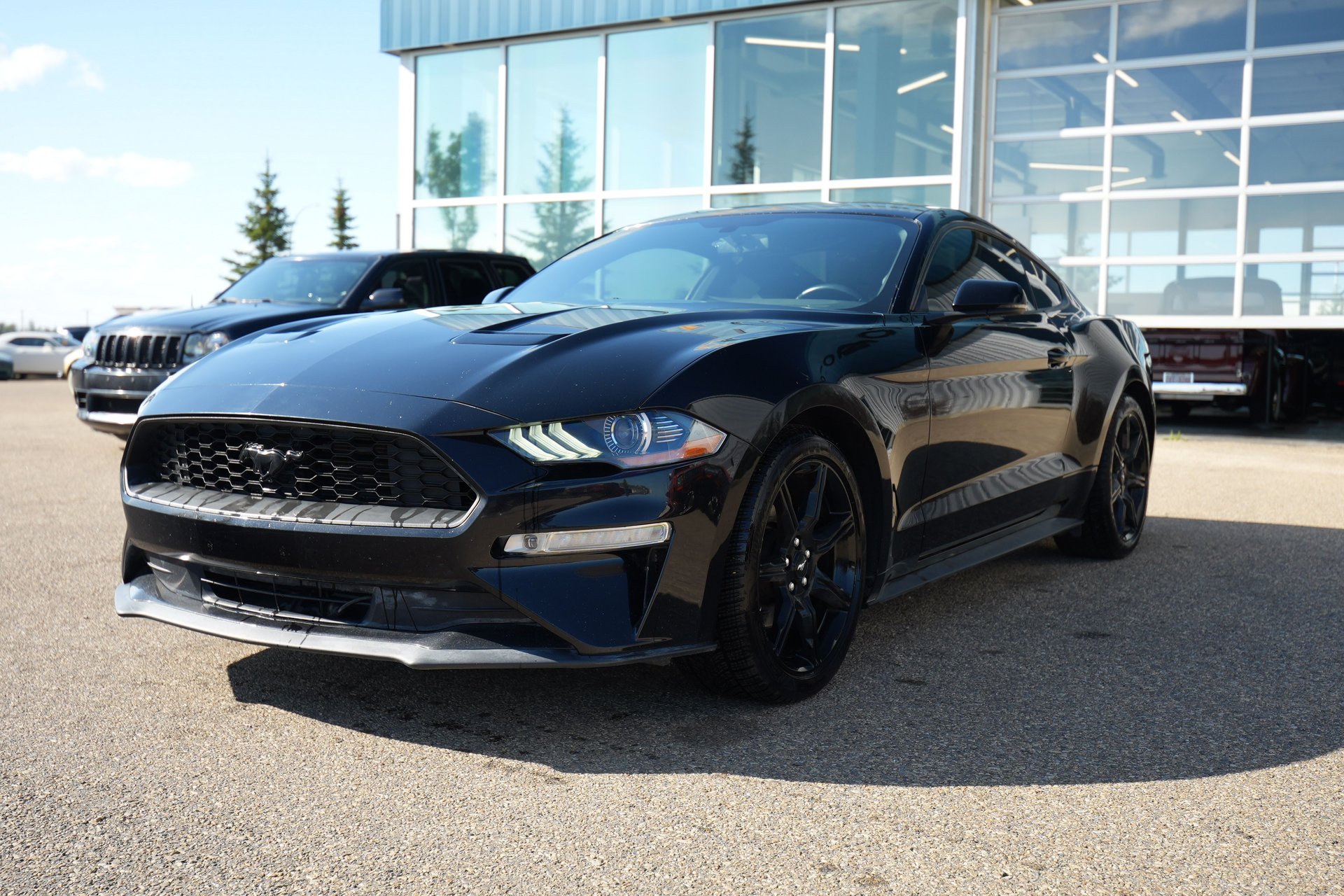 2019 ford mustang ecoboost premium fastback