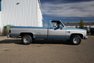 1981 Chevrolet Pickup
