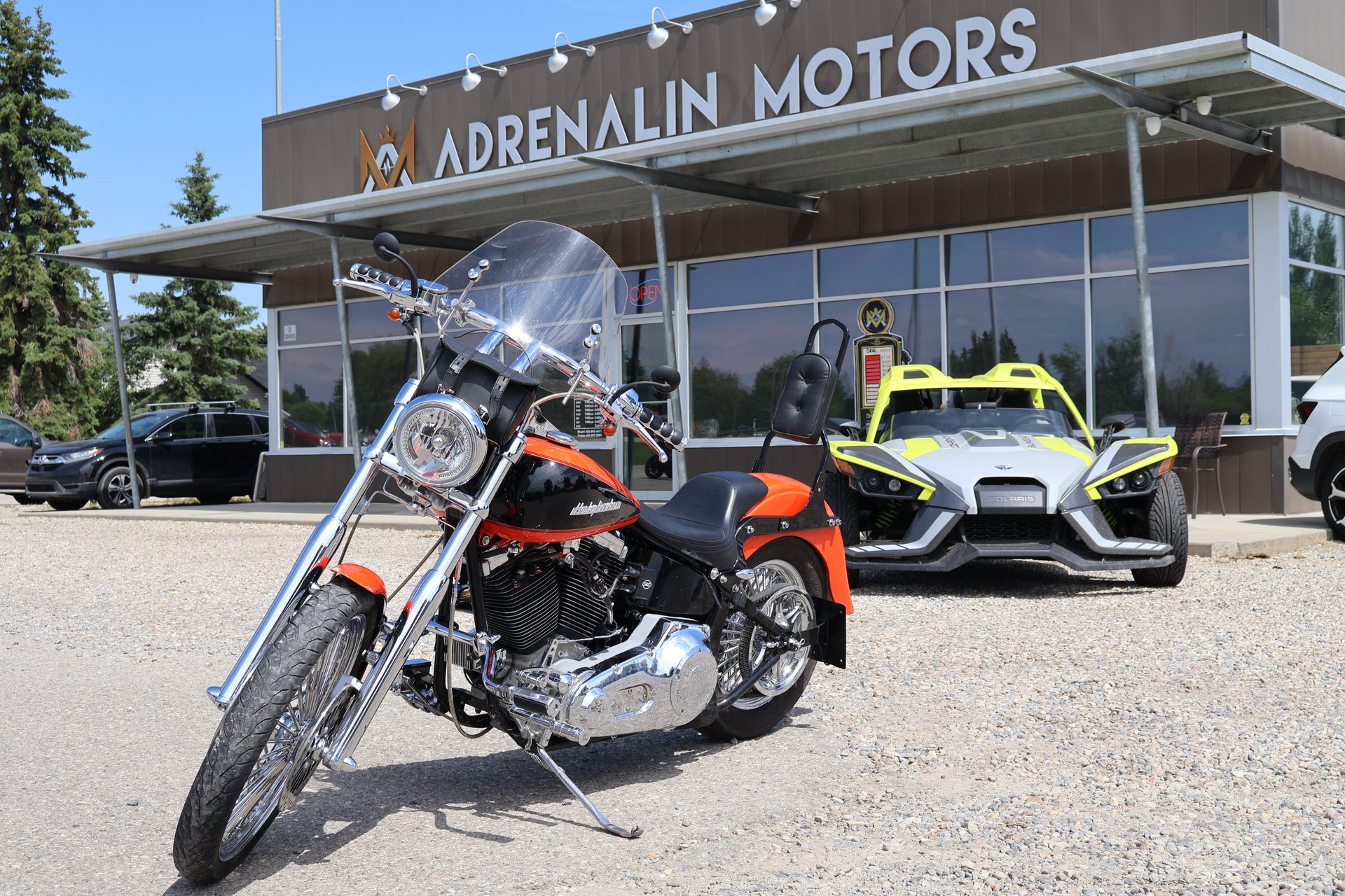 2021 harley davidson custom