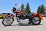 2021 Harley Davidson Custom
