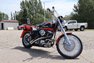2021 Harley Davidson Custom