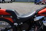 2021 Harley Davidson Custom