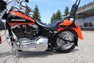 2021 Harley Davidson Custom