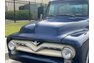 1955 Ford F 100