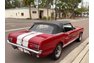 1966 Ford Mustang Shelby 350