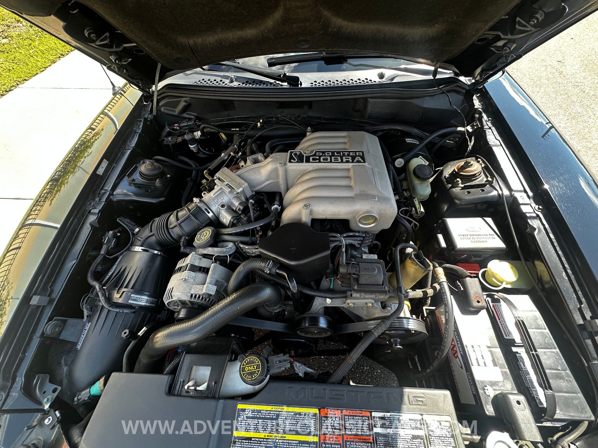 1995 Mustang Cobra Motor