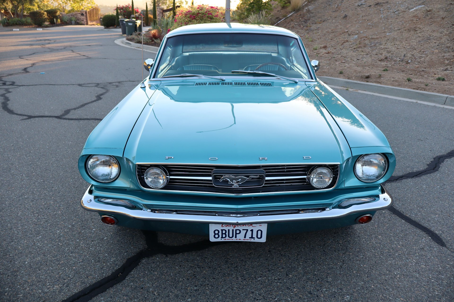 1966 ford mustang