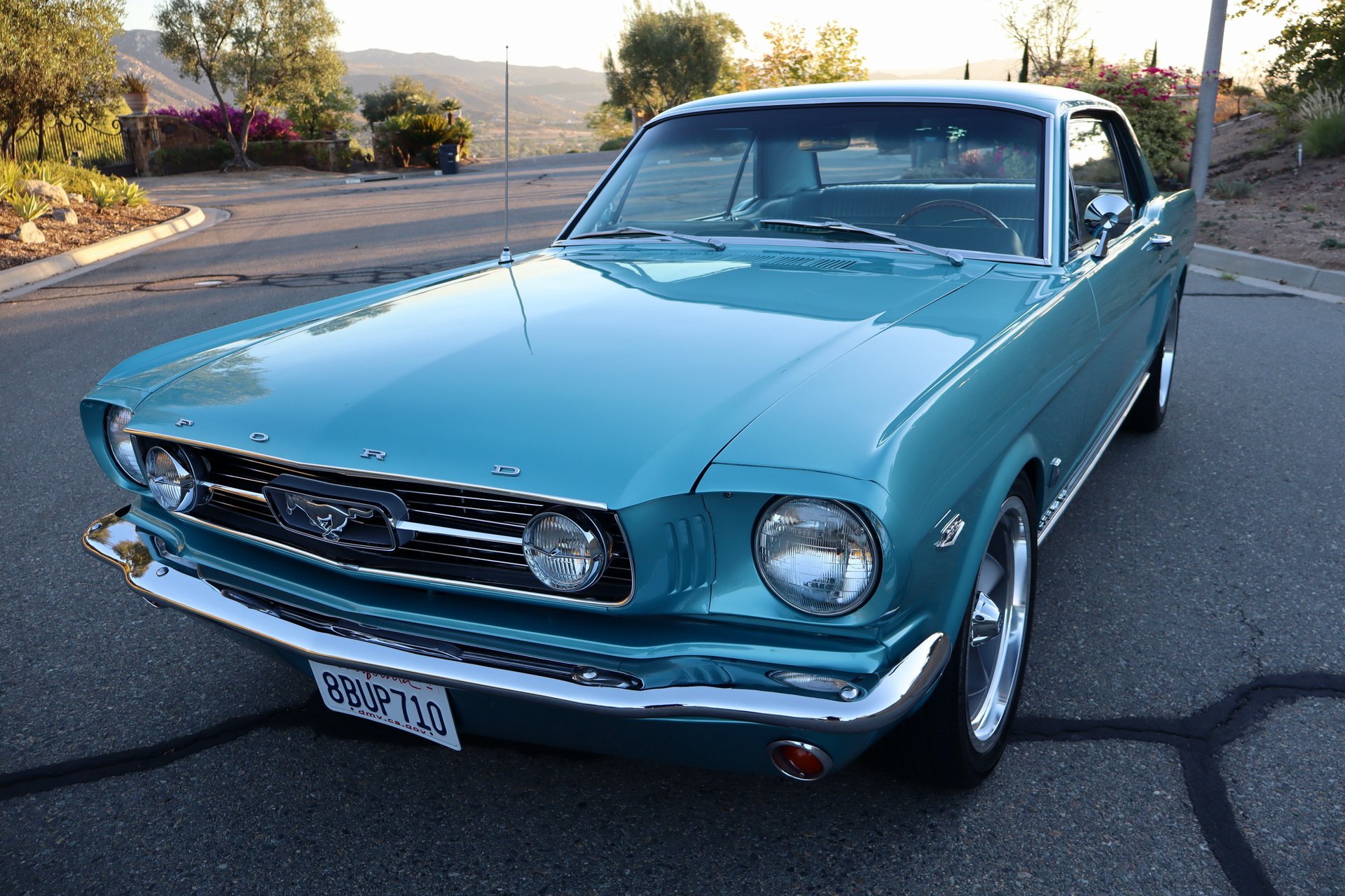 1966 ford mustang