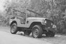 1952 Jeep Willys