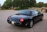 2004 Ford Thunderbird Premium