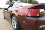 2000 Ford Mustang Saleen