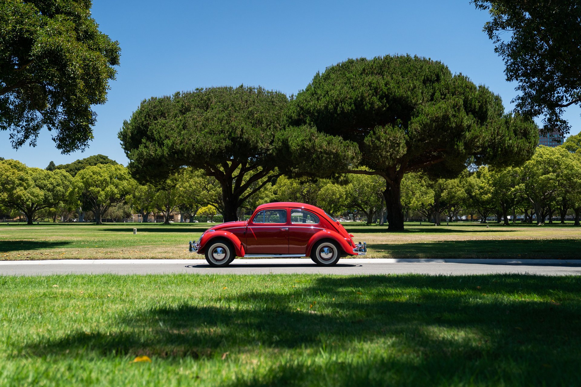 For Sale 1963 Volkswagen Beetle