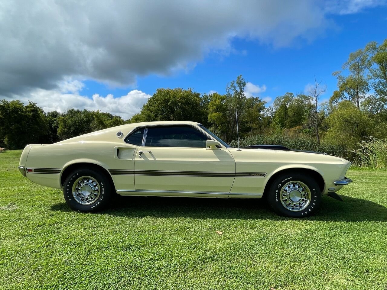 For Sale 1969 Ford Mustang Mach 1