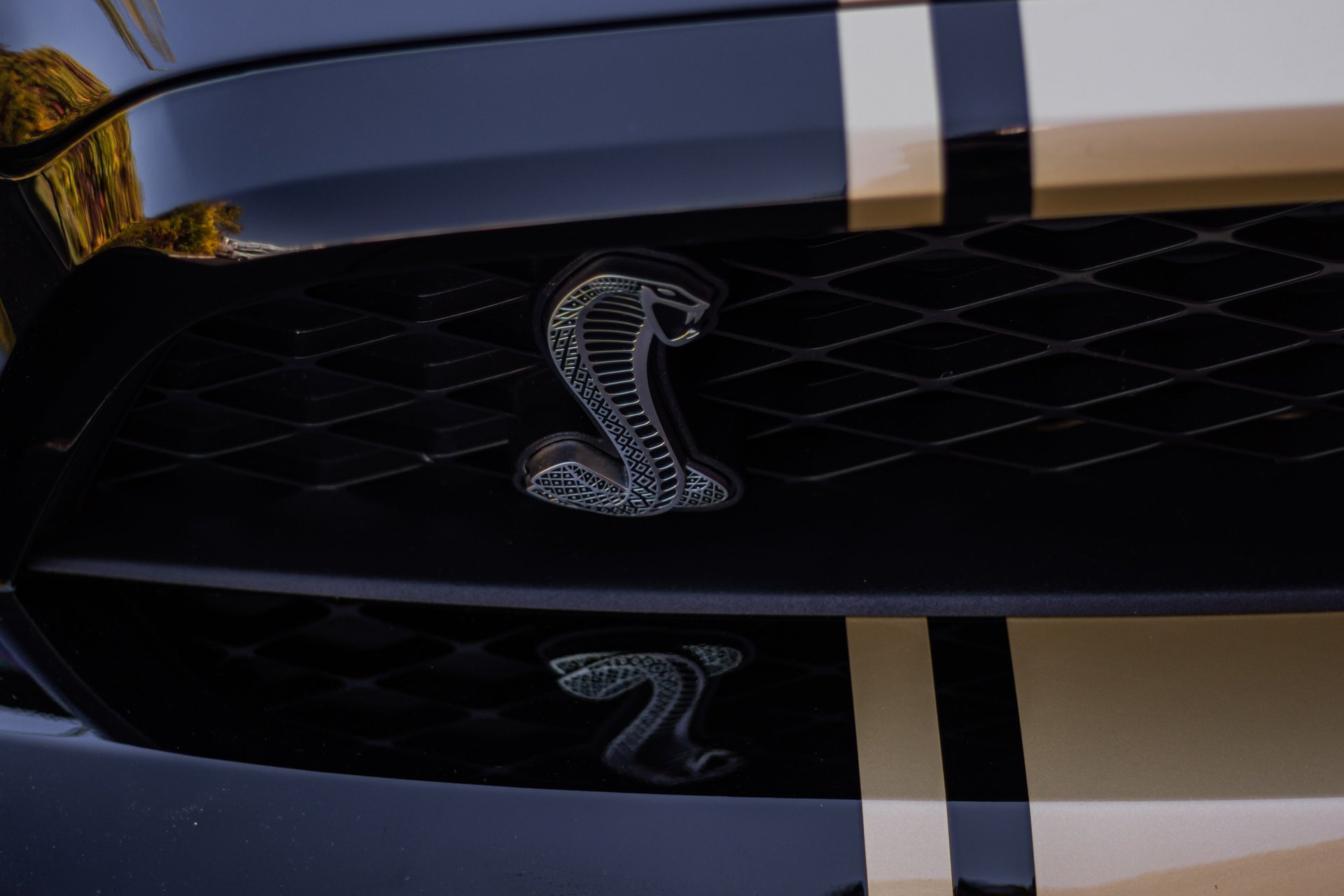 For Sale 2012 Shelby Mustang GT500 Super Snake 50th Anniversary