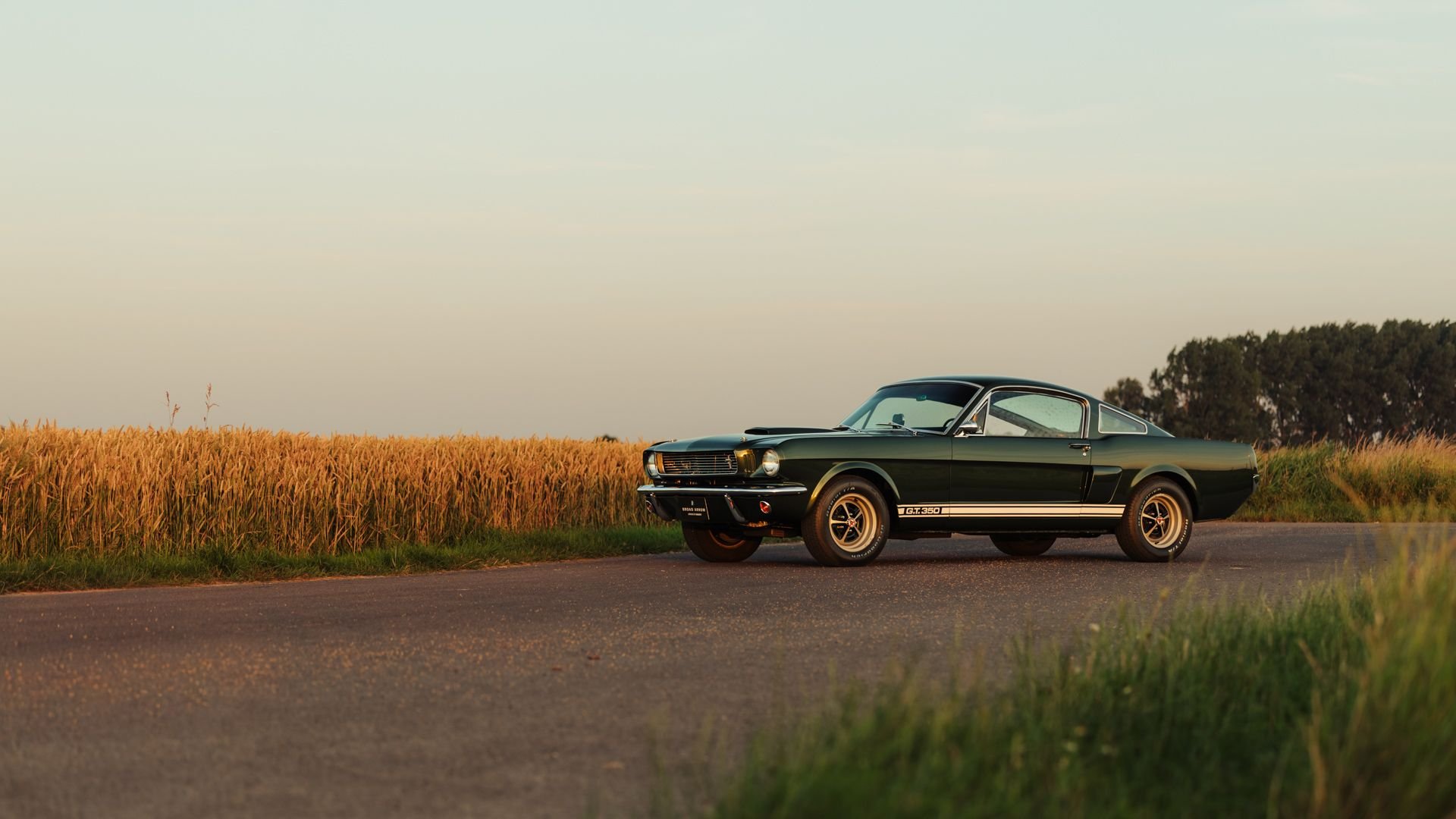 Broad Arrow Auctions | 1966 Shelby GT350 Fastback
