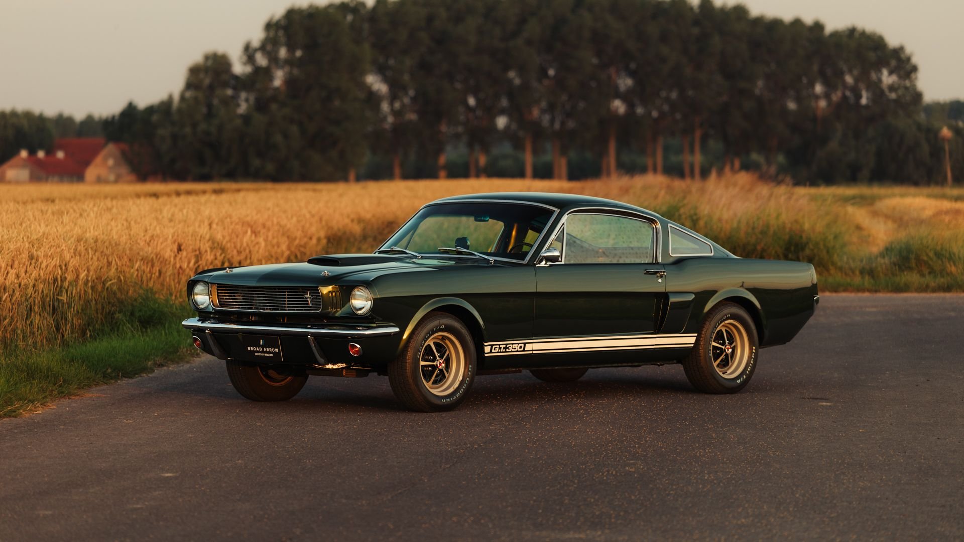 Broad Arrow Auctions | 1966 Shelby GT350 Fastback
