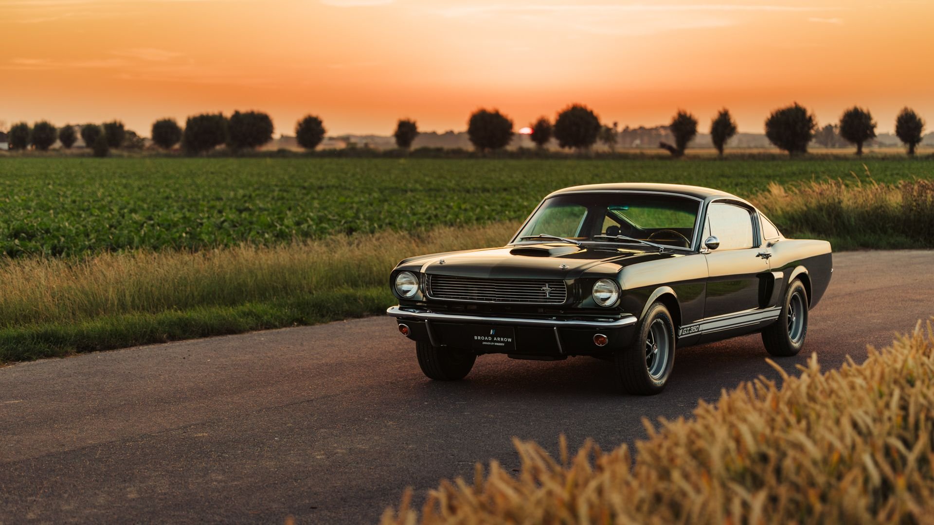 Broad Arrow Auctions | 1966 Shelby GT350 Fastback