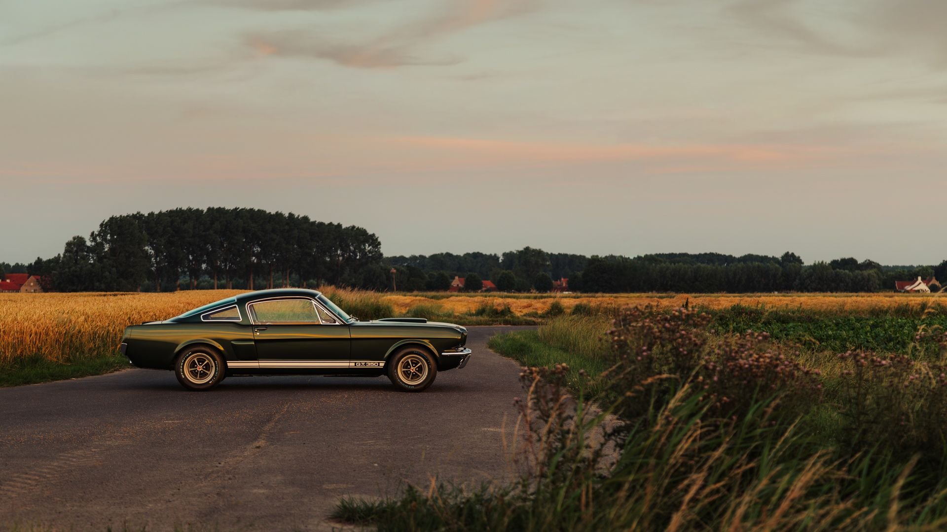 Broad Arrow Auctions | 1966 Shelby GT350 Fastback