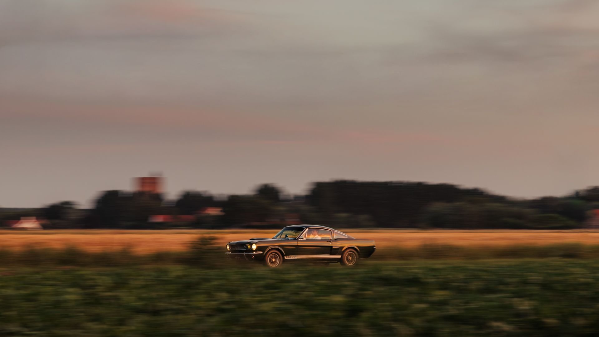 Broad Arrow Auctions | 1966 Shelby GT350 Fastback