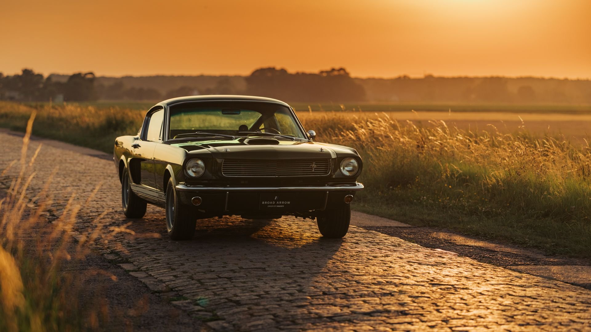 Broad Arrow Auctions | 1966 Shelby GT350 Fastback