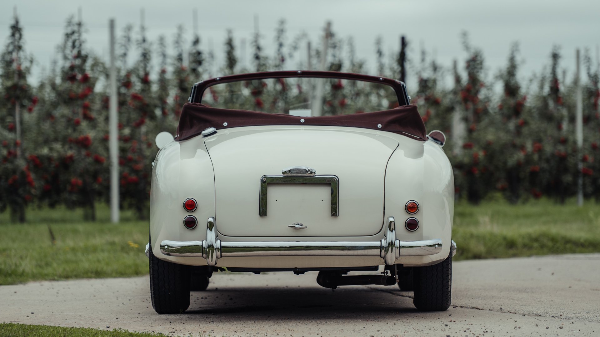 Broad Arrow Auctions | 1954 Aston Martin DB2/4 Mk I Drophead Coupe