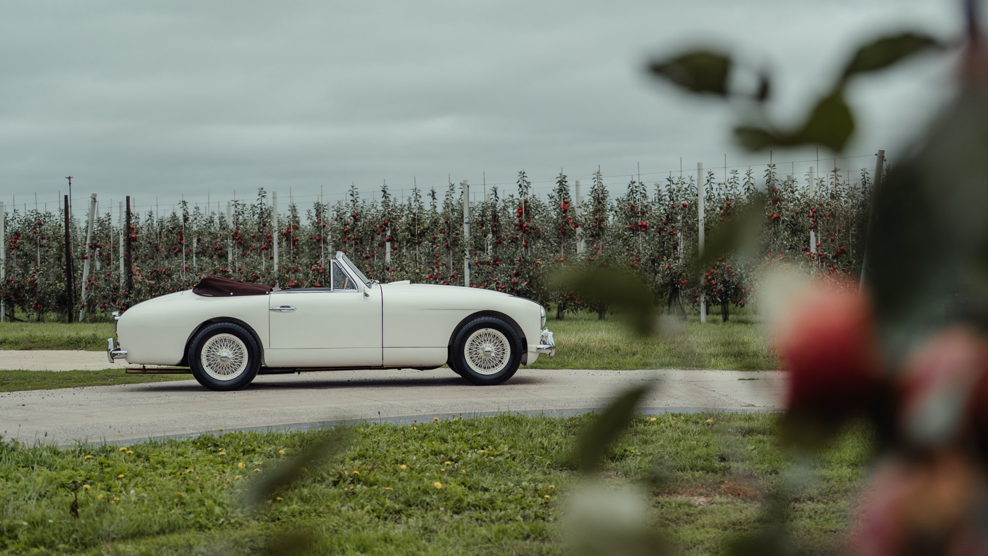 Broad Arrow Auctions | 1954 Aston Martin DB2/4 Mk I Drophead Coupe