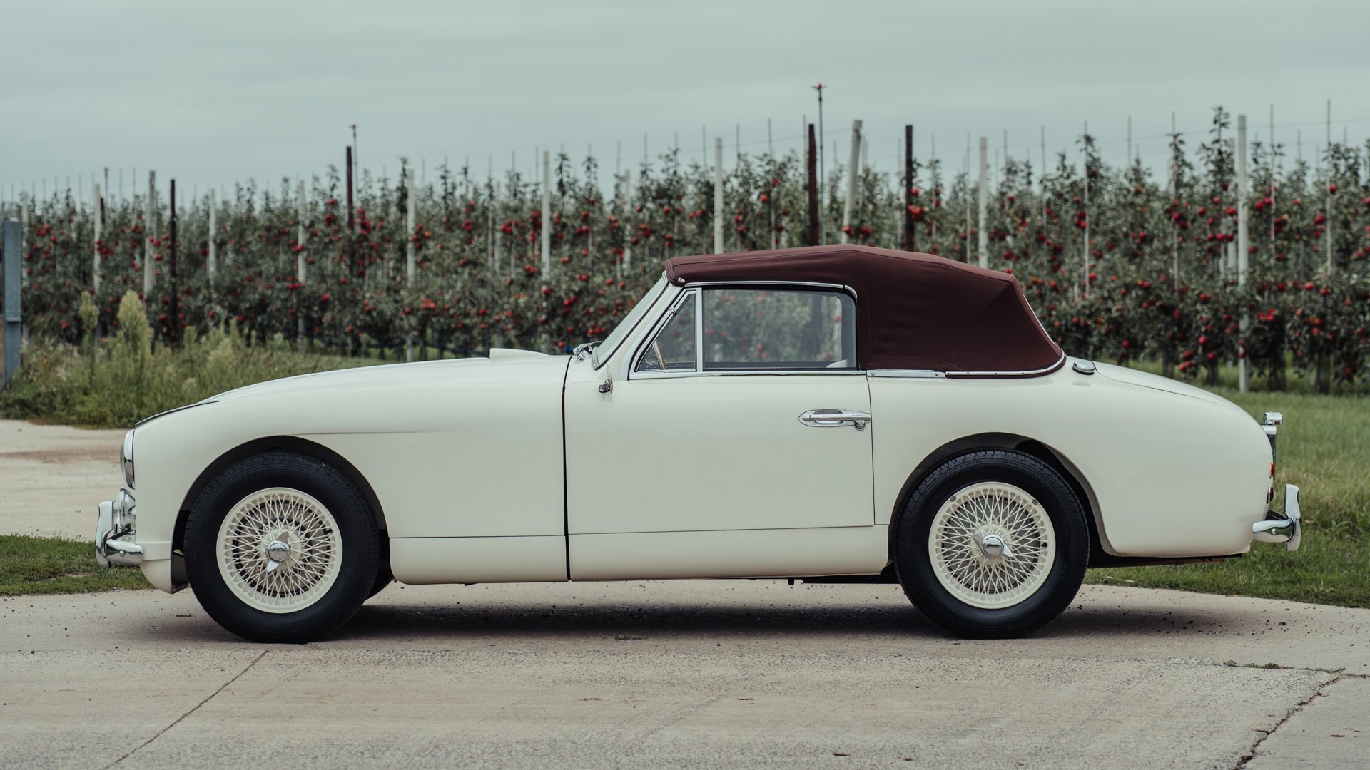 Broad Arrow Auctions | 1954 Aston Martin DB2/4 Mk I Drophead Coupe
