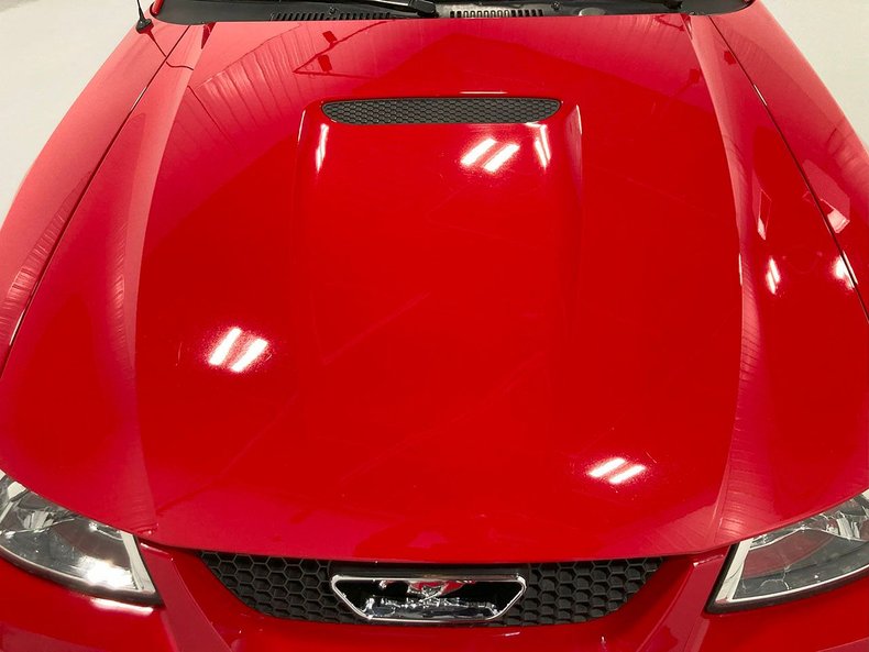 For Sale 1999 Ford Mustang