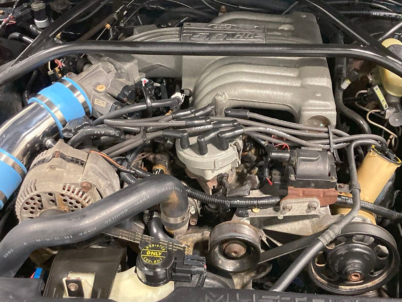 For Sale 1995 Ford Mustang