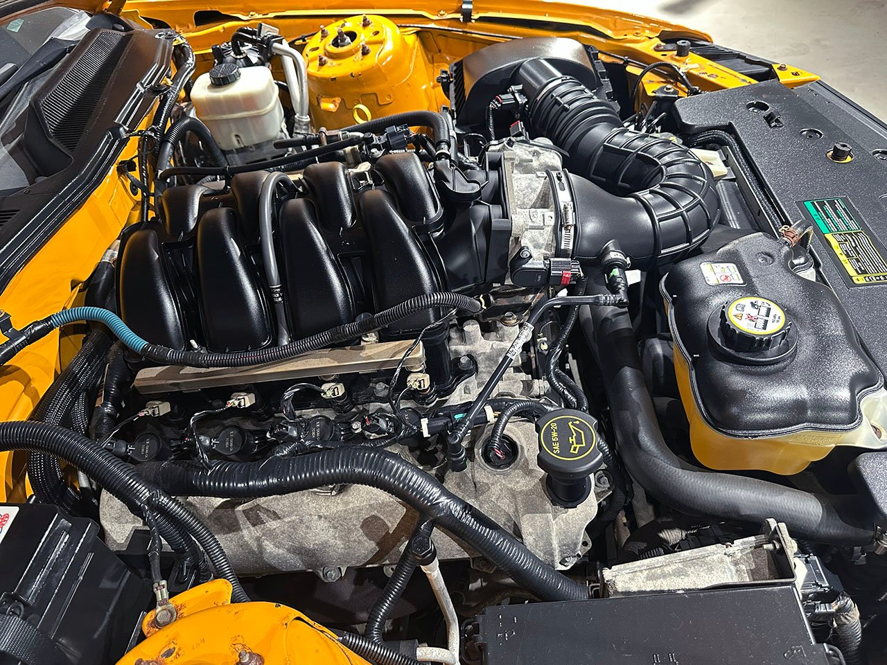 For Sale 2007 Ford Mustang