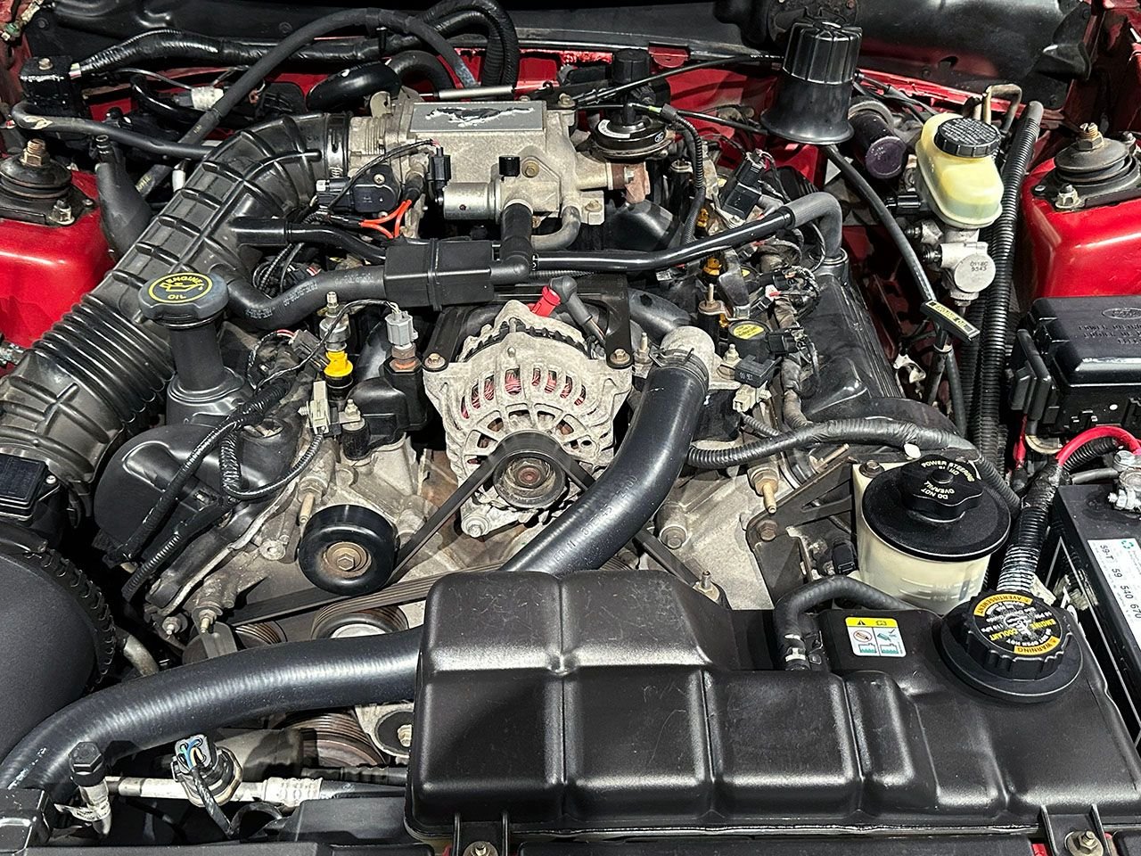 For Sale 2000 Ford Mustang