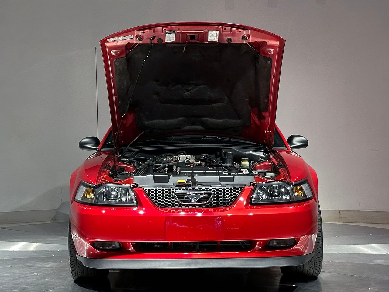 For Sale 2000 Ford Mustang