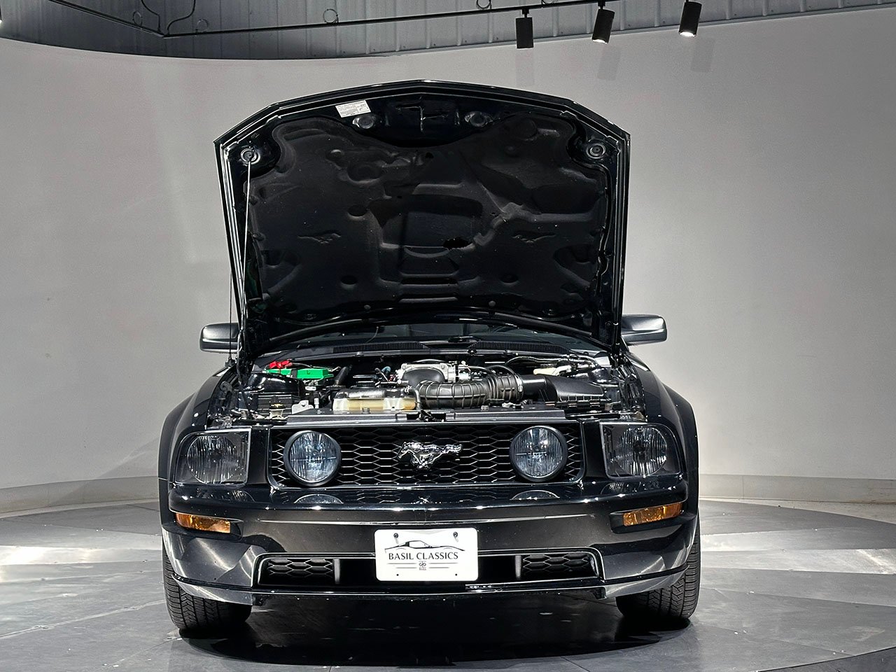 For Sale 2005 Ford Mustang
