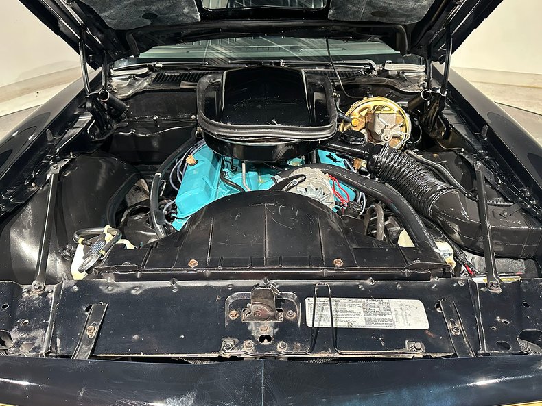1977 Pontiac Firebird 25