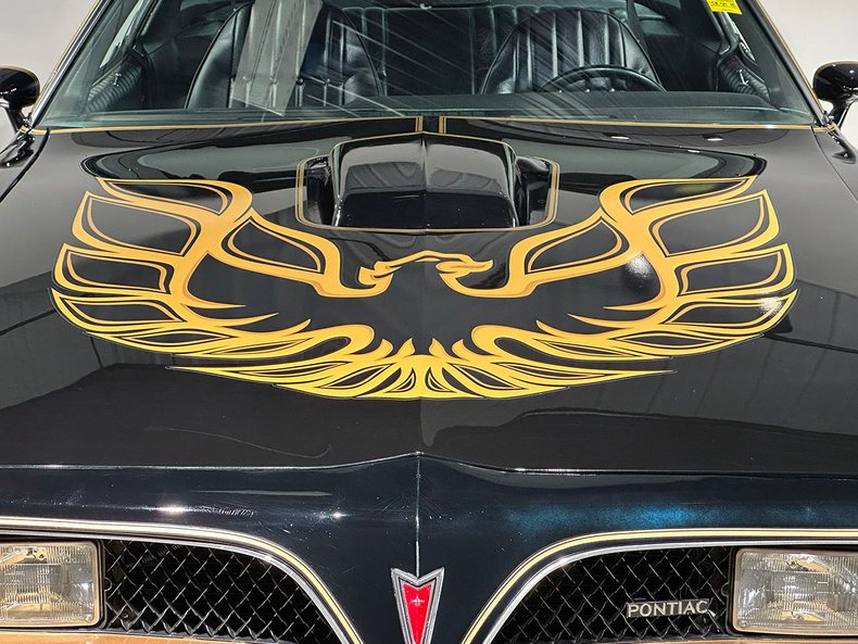 1977 Pontiac Firebird 22