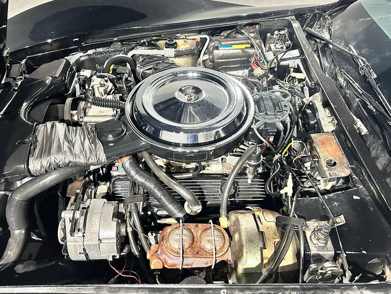 1981 Chevrolet Corvette 24