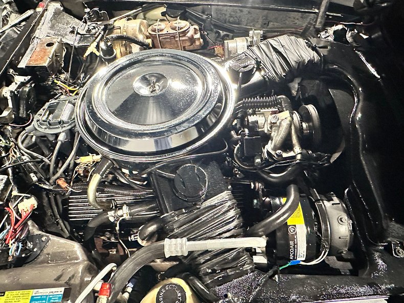 1981 Chevrolet Corvette 26