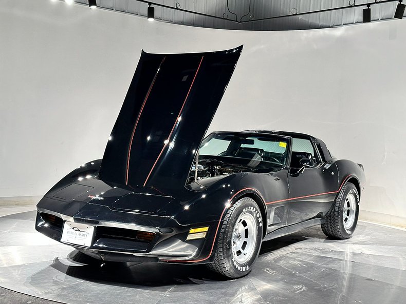 1981 Chevrolet Corvette 29