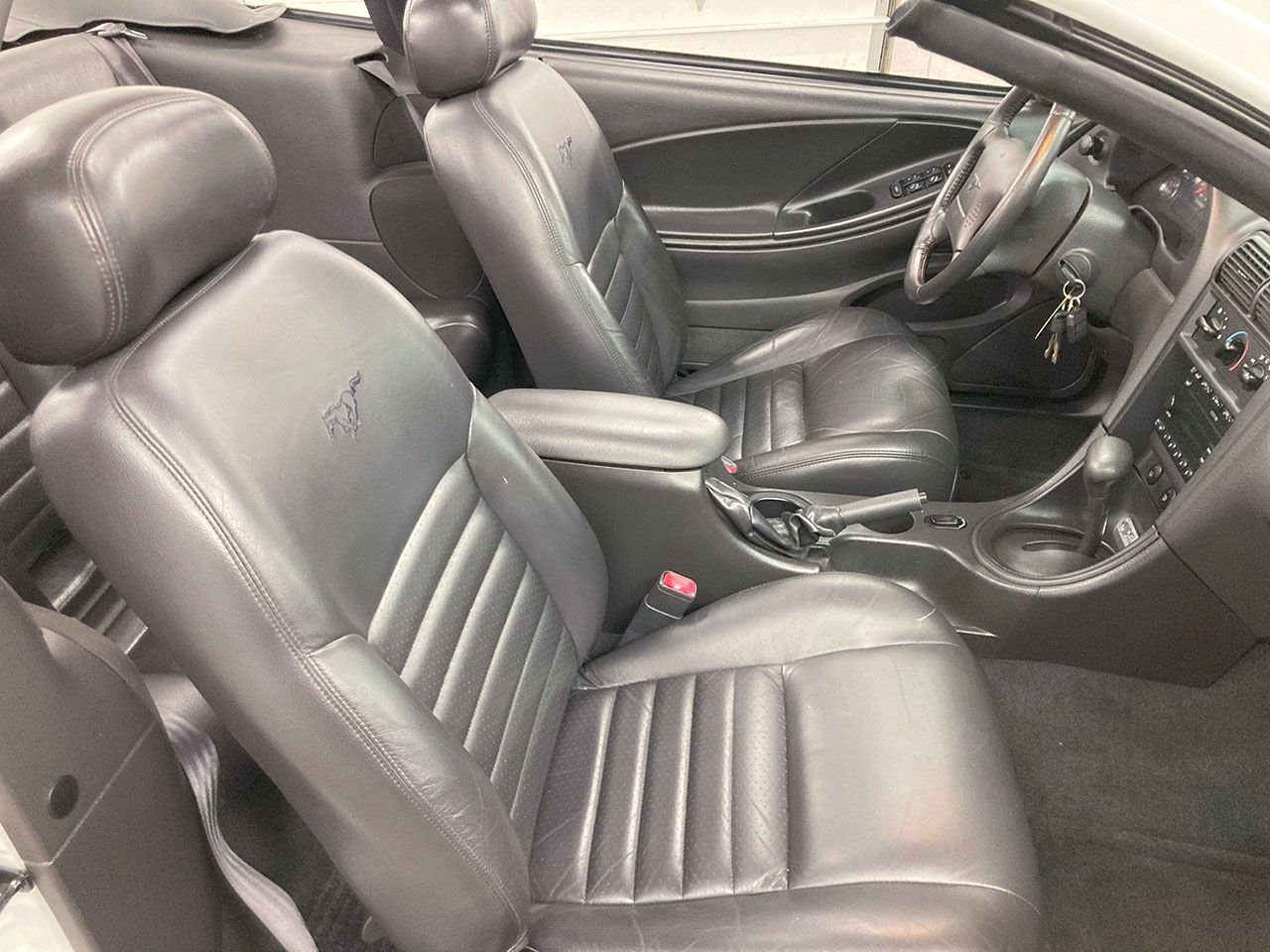 2004 Ford Mustang | Basil Classics