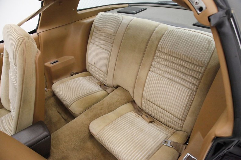 1981 Pontiac Firebird 45