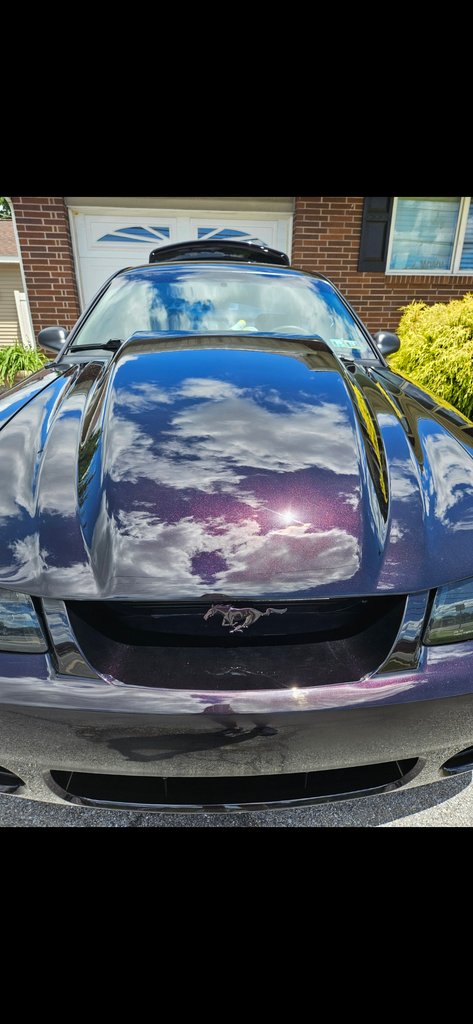 2000 Ford Mustang 100