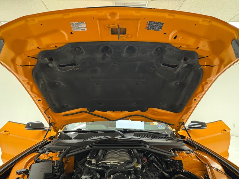 2019 Ford Mustang 29