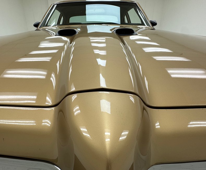 1970 Pontiac LeMans 10