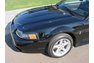 1999 Ford Mustang