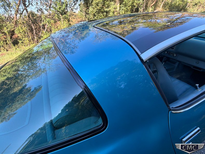 1979 Chevrolet Camaro Z28 66